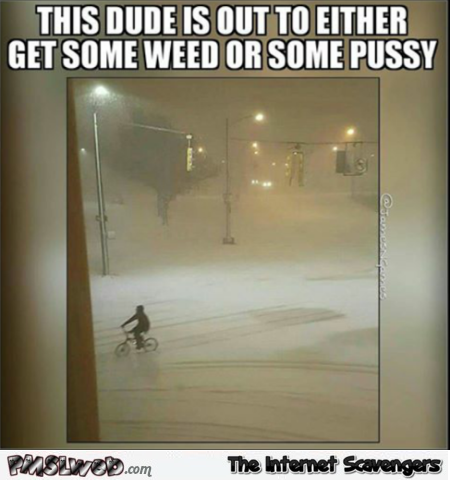 This guy is either out to get weed or pussy funny meme @PMSLweb.com