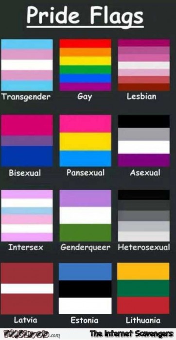 Funny pride flags guide