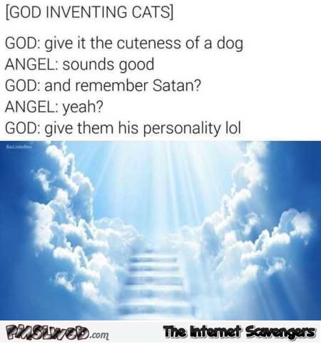 When God invented cats funny meme