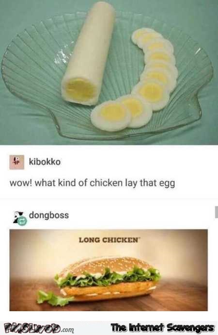 Long chicken lays long eggs funny meme