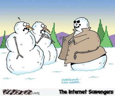 Snowman the flasher funny cartoon