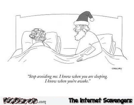 Santa knows when his wife is sleeping and when she is awake funny cartoon