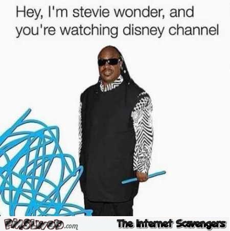 Stevie Wonder on Disney channel funny meme @PMSLweb.com