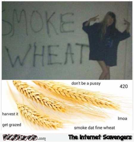 Smoke wheat funny meme @PMSLweb.com