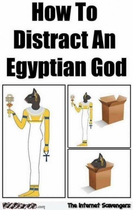 How to distract an Egyptian god funny meme