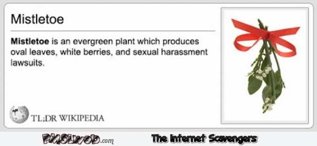 Funny mistletoe definition @PMSLweb.com