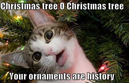Christmas tree O Christmas tree funny meme @PMSLweb.com