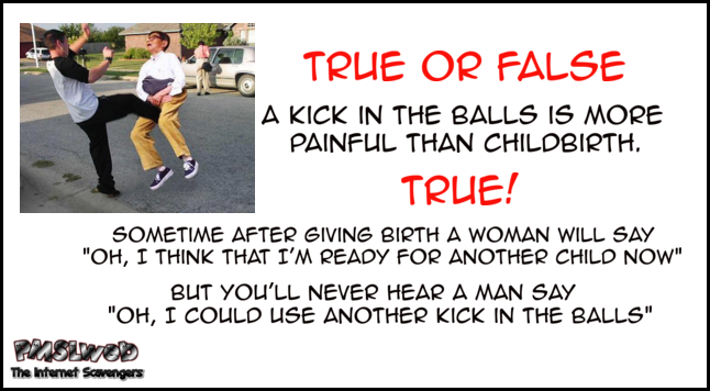 A kick in the balls is more painful than childbirth humor – Hilarious memes and pictures @PMSLweb.com