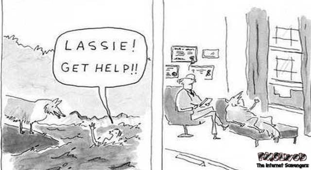 Lassie get help funny cartoon – Jocular Monday nonsense @PMSLweb.com