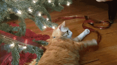 Hilarious cat and Christmas tree I don't have a clue what I'm doing @PMSLweb.com