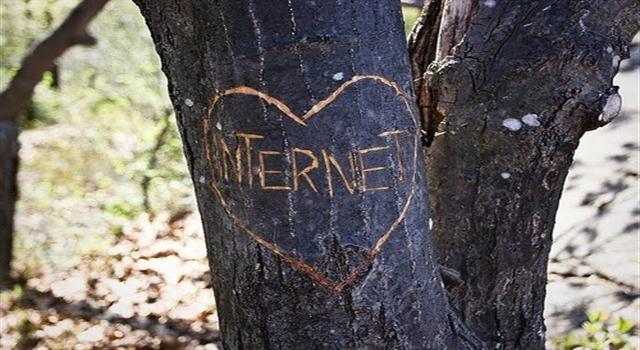 Internet is my love carved on a tree humor � Funny Internet guffaws @PMSLweb.com