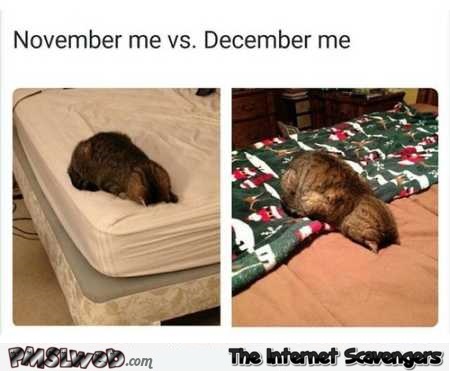 Me in November versus me in December funny cat meme @PMSLweb.com