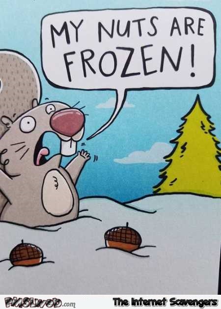 My nuts are frozen funny Christmas squirrel cartoon @PMSLweb.com