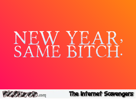 New Year same bitch sarcastic humor @PMSLweb.com
