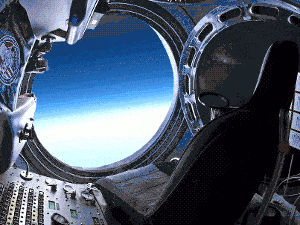 Funny cat jumps from outer space gif – Sunday comedy club @PMSLweb.com