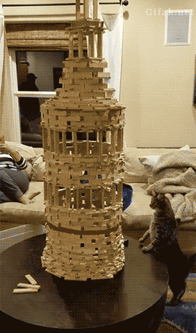 Cat destroys tower funny gif
