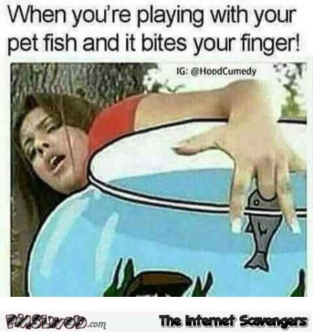 When you’re playing with your pet fish adult humor @PMSLweb.com