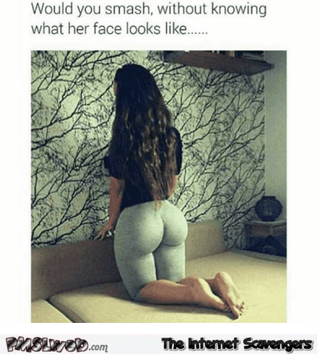 Would you smash without knowing what her face looks like meme