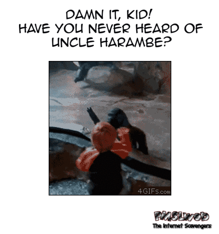 Funny Gorilla gif have you never heard of uncle Harambe � Lighthearted Tuesday pictures @PMSLweb.com