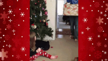 Getting her a cat for Christmas funny gif @PMSLweb.com