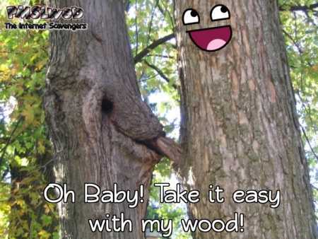 Take it easy with my wood funny tree meme – Adult humor collection @PMSLweb.com