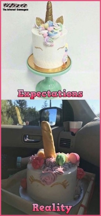 Unicorn cake expectations versus reality humor