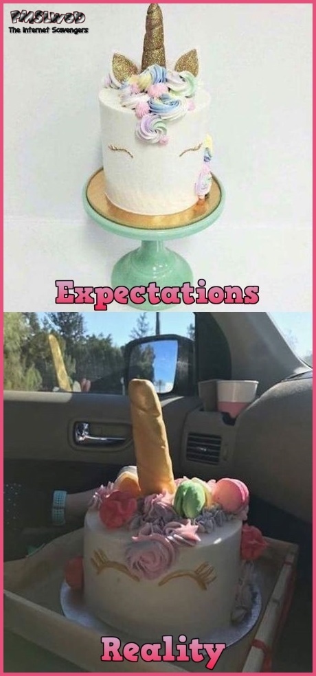 Unicorn cake expectations versus reality humor @PMSLweb.com