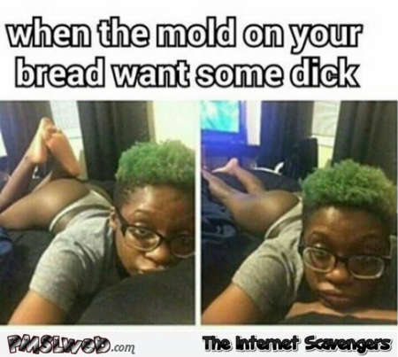 When the mold on your bread wants some dick adult meme – Adult humor collection @PMSLweb.com