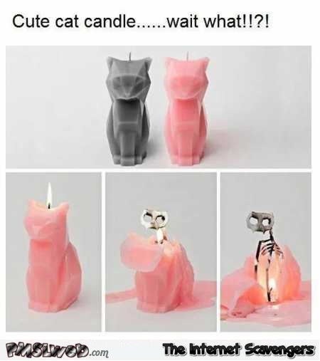 Funny cute cat skeleton candle @PMSLweb.com
