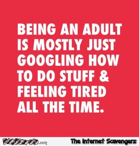 What being an adult really is - Funny picture boulevard @PMSLweb.com