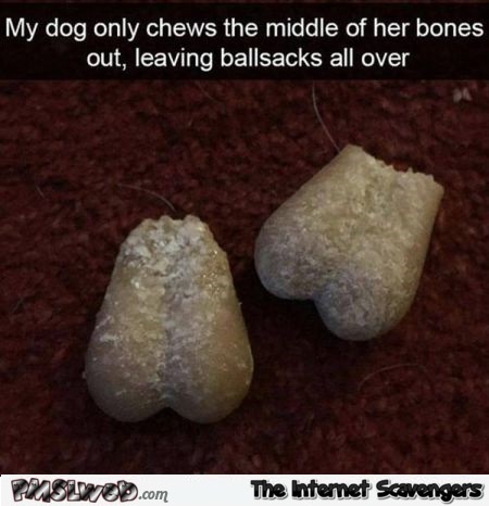 My dog only chews the middle of her bones adult humor @PMSLweb.com