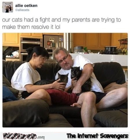 Parents trying to resolve cats fight funny meme @PMSLweb.com