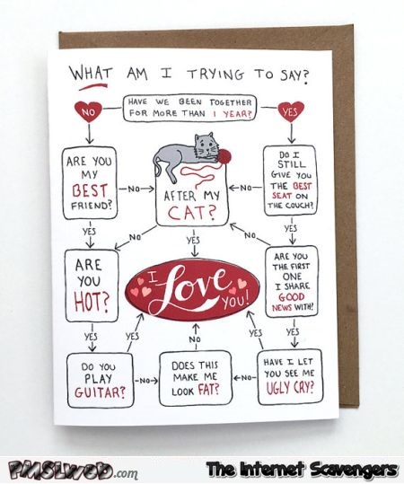Do I love you more than my cat funny Valentines day card @PMSLweb.com