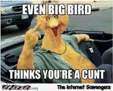 Even big bird thinks you're a cunt sarcastic humor