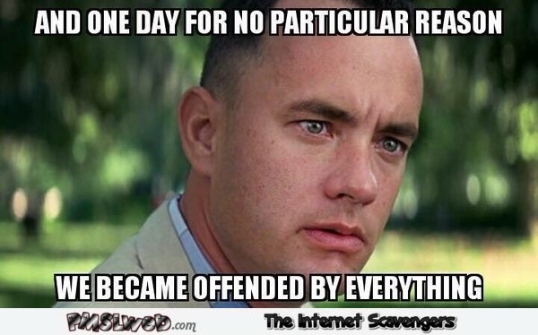 One day for no reason we became offended by everything funny meme