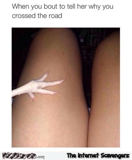Chicken is about to tell her why he crossed the road funny meme @PMSLweb.com