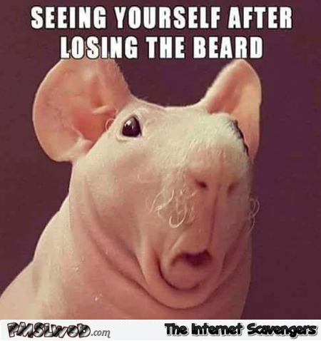 Seeing yourself after losing the beard funny meme @PMSLweb.com