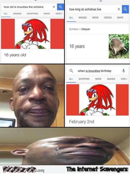 How old is Knuckles the echidna funny meme @PMSLweb.com