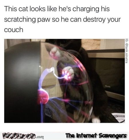 This cat looks like he's charging his scratching paw funny meme @PMSLweb.com