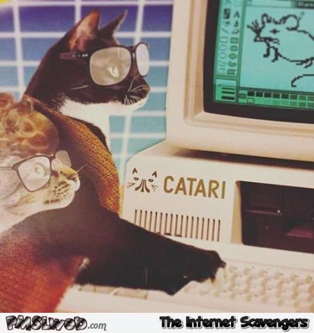 Funny cat Atari @PMSLweb.com