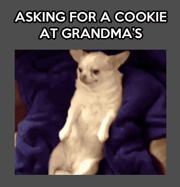When you ask for a cookie at grandma's funny gif @PMSLweb.com