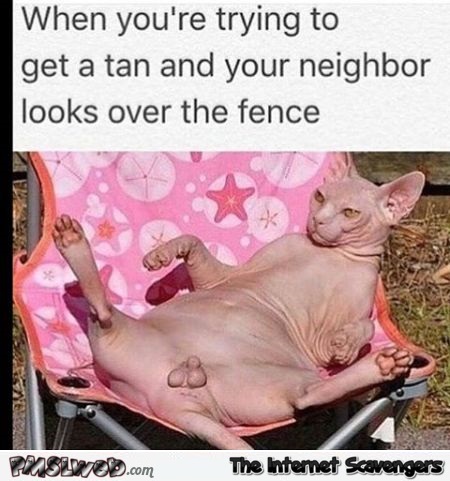 When you're trying to get a tan and the neighbour looks over the fence funny meme @PMSLweb.com