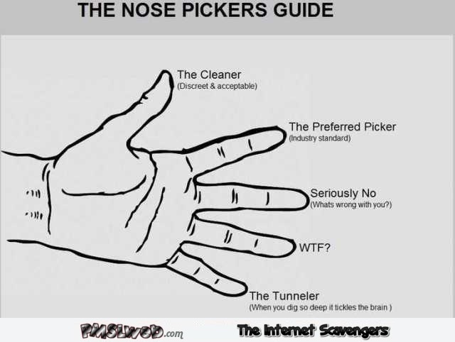 Funny nose picker’s guide