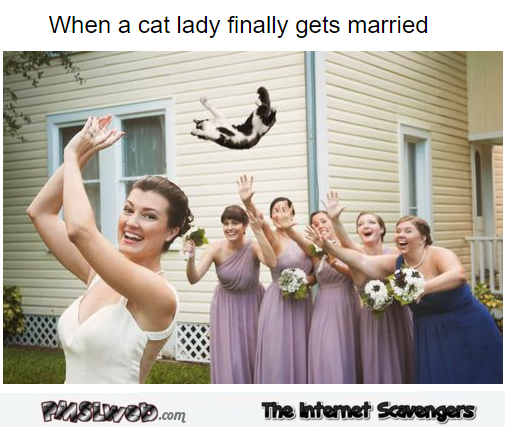 When a cat lady finally gets married funny meme @PMSLweb.com
