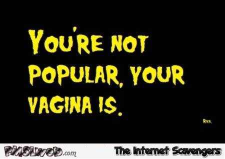 You're not popular your vagina is funny adult quote - Adult humor picture collection @PMSLweb.com