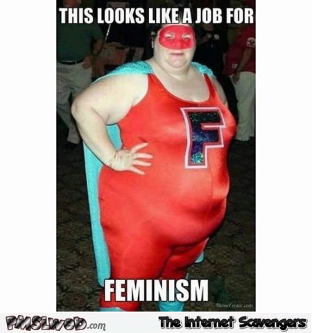 This looks like a job for feminism funny meme @PMSLweb.com