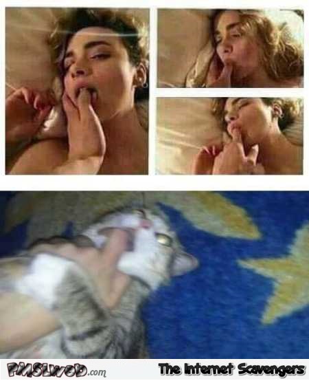 Love scene woman versus cat funny meme @PMSLweb.com