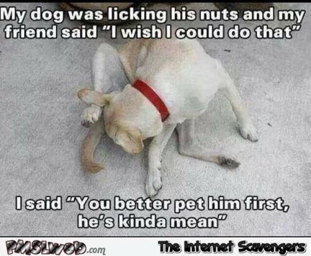 My dog was licking his nuts funny meme @PMSLweb.com