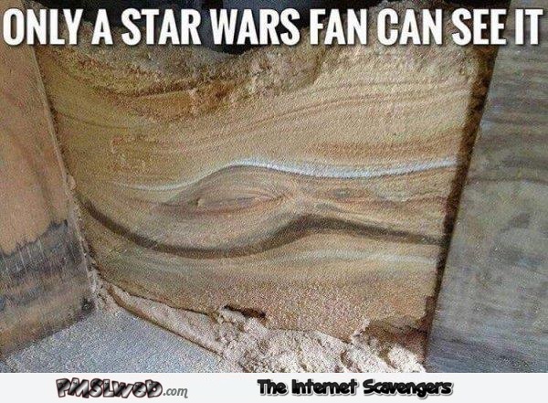 Only a Star Wars fan can see it meme - Chucklesome Friday pictures @PMSLweb.com