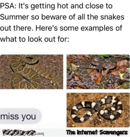Beware of snakes funny meme - Sarcastic Sunday laughter @PMSLweb.com